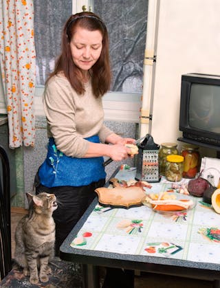 An owner may offer their pet extra food, for example during the preparation of human food.